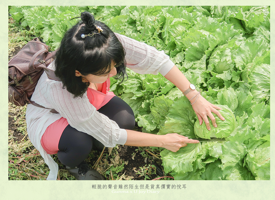 群馬工匠之鄉 (5).jpg