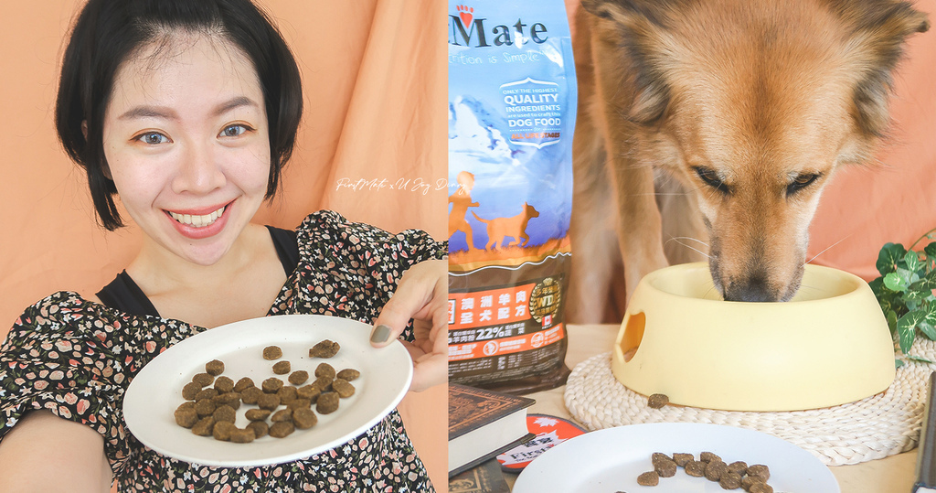 第一饗宴狗飼料推薦 (10).jpg