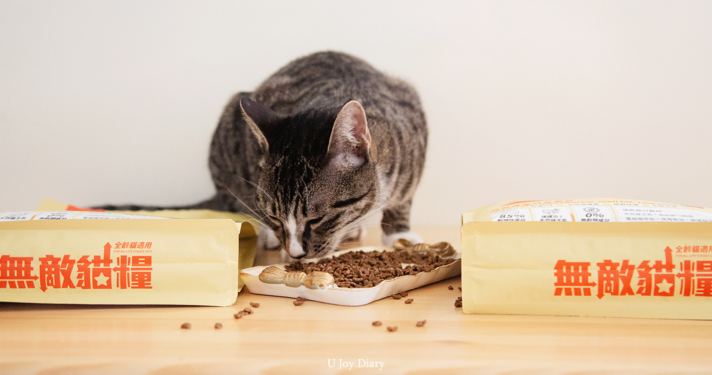 貓飼料推薦 (7).jpg