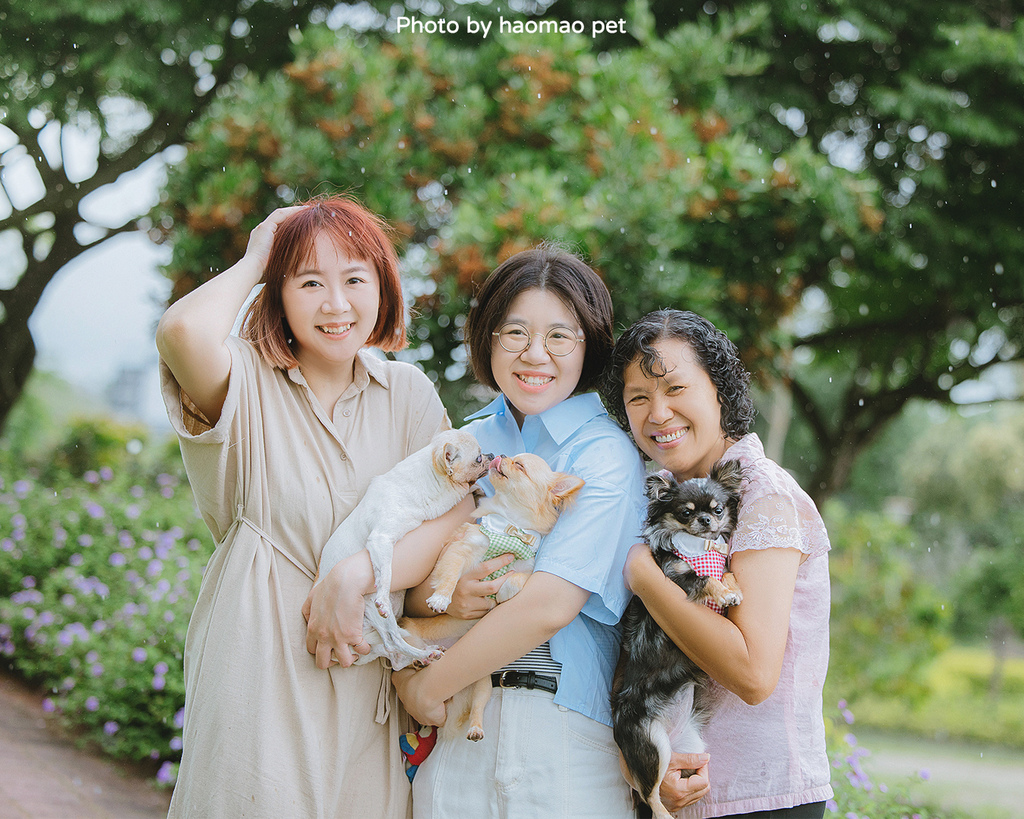 寵物寫真攝影怎麼挑除了攝影風格,這3個細節更是拍出毛孩可愛 寵物寫真攝影怎麼挑除了攝影風格,這3個細節更是拍出毛孩可愛