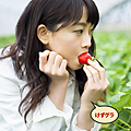 IMG_2925.PNG