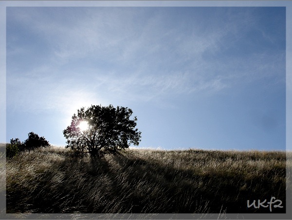 Hollyrood Park