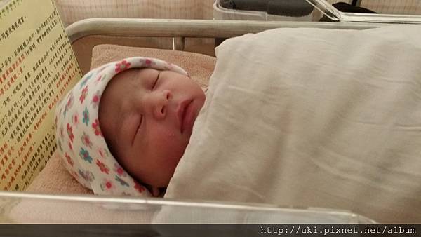 20150802_092024 20150802_092024