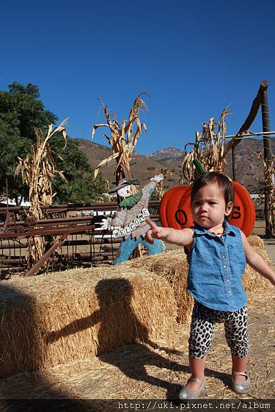 IMG_4070.JPG IMG_4070.JPG