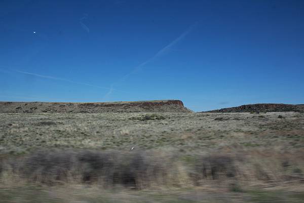 IMG_7432.JPG IMG_7432.JPG