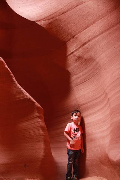 IMG_8618.JPG IMG_8618.JPG