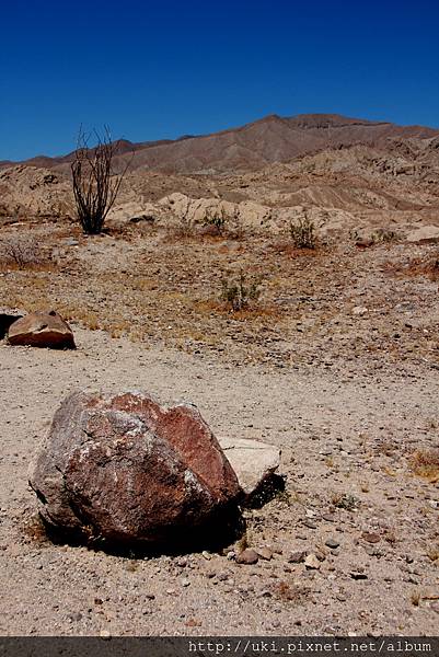 IMG_9166.JPG IMG_9166.JPG