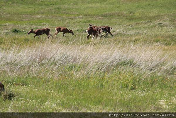 IMG_9255.JPG IMG_9255.JPG