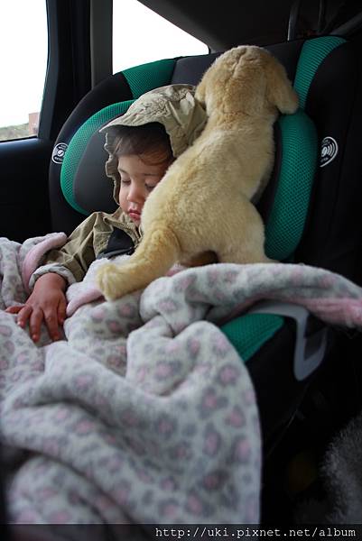 IMG_8324.JPG IMG_8324.JPG