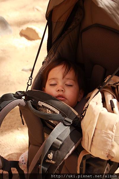 IMG_8780.JPG IMG_8780.JPG