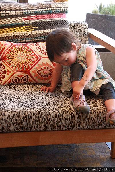 IMG_9146.JPG IMG_9146.JPG