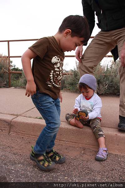 IMG_8128.JPG IMG_8128.JPG