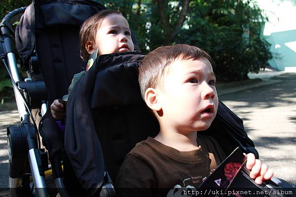 IMG_5470.JPG IMG_5470.JPG