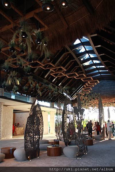 IMG_3683.JPG IMG_3683.JPG