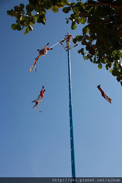 IMG_3939.JPG IMG_3939.JPG