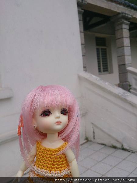 DSC_0633.jpg DSC_0633.jpg