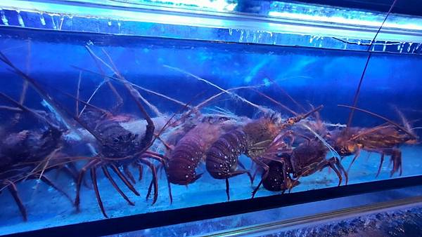 LINE_ALBUM_覓奇_230523_71 LINE_ALBUM_覓奇_230523_71