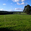 Manjimup01.jpg