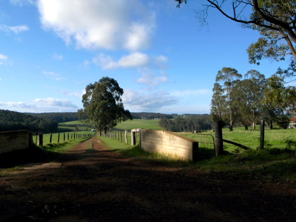 Manjimup030.jpg