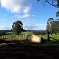 Manjimup030.jpg