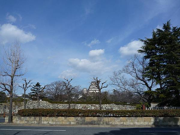 P1020984.JPG