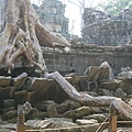 Angkor-3rd-07