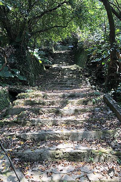 金瓜石神社-07.jpg