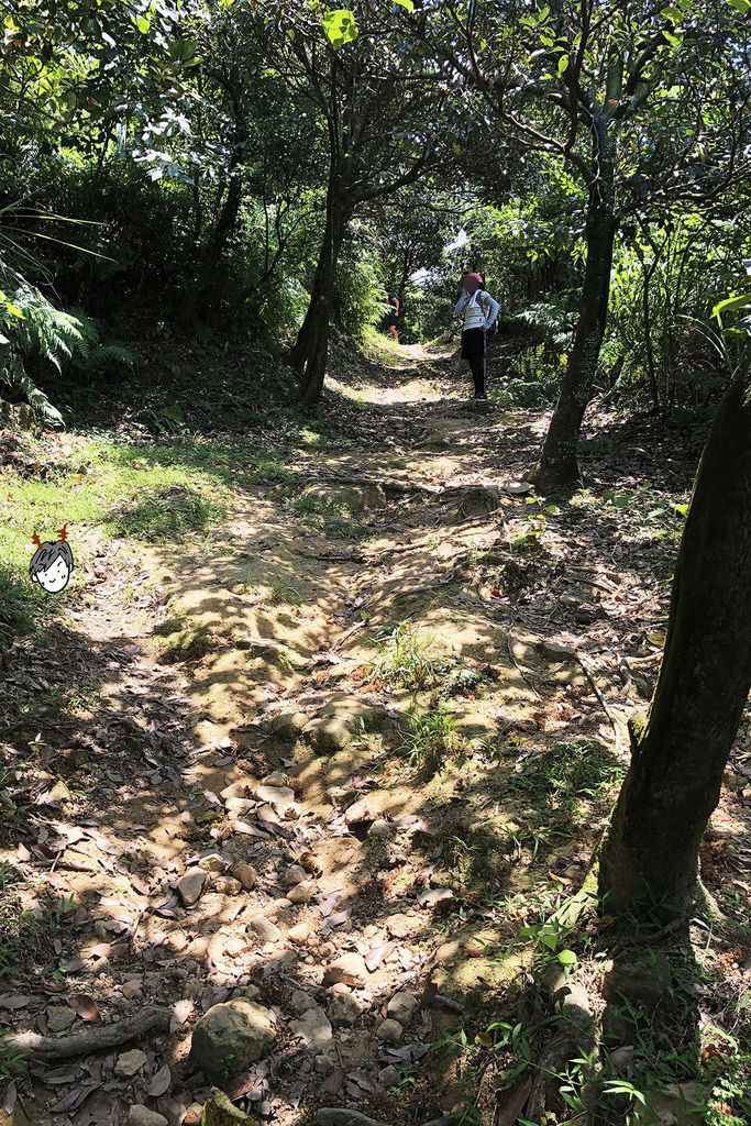 金瓜石神社-09.jpg