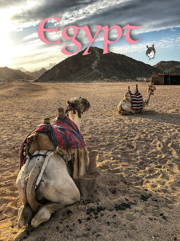 Egypt-Day7.8-01