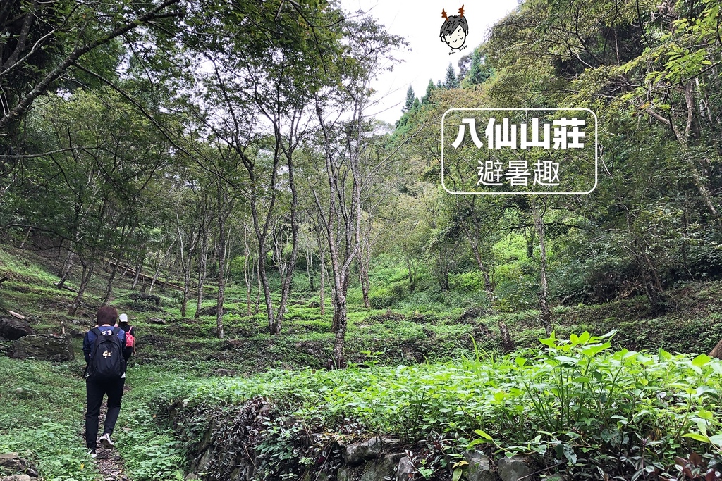 [食遊] 和平/八仙山莊避暑趣
