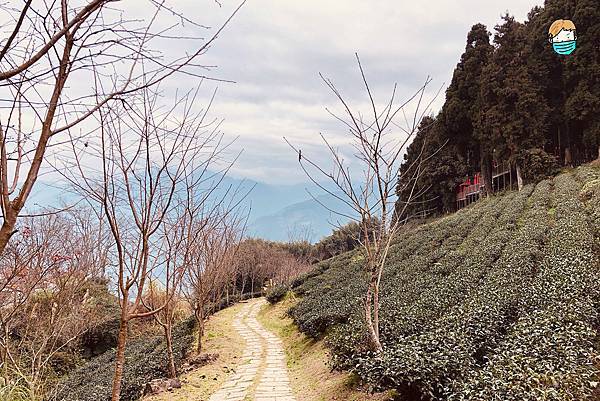 鵝公髻山-07