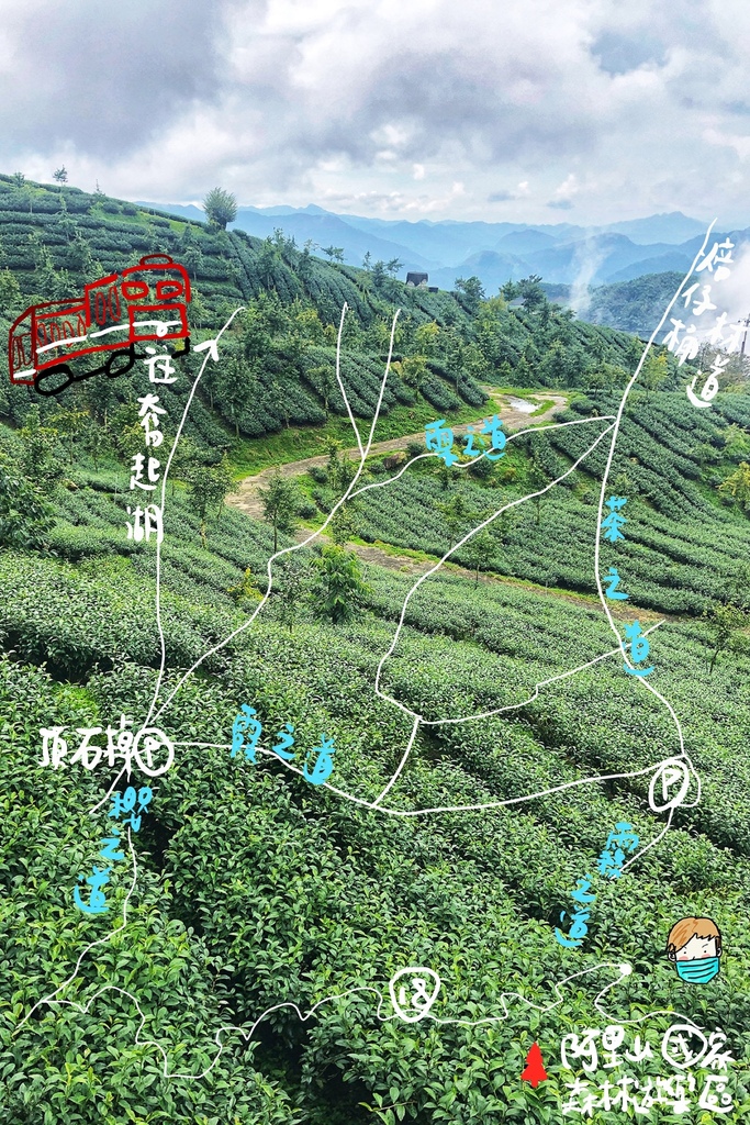 [遊記] 石棹步道群、阿里山國家森林遊樂區