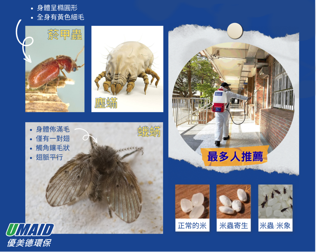 居家常見害蟲:菸甲蟲、塵螨、米蟲、蛾蚋.png