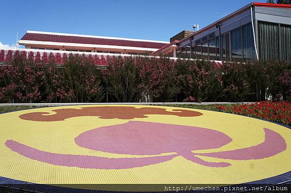 DSC06131.JPG DSC06131.JPG