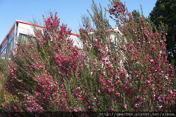 DSC06132.JPG DSC06132.JPG