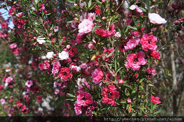 DSC06135.JPG DSC06135.JPG