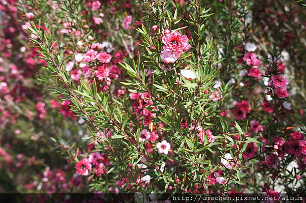 DSC06136.JPG DSC06136.JPG