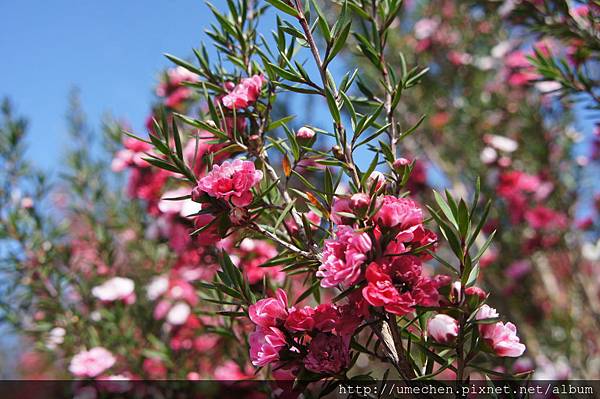 DSC06137.JPG DSC06137.JPG