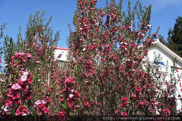 DSC06138.JPG DSC06138.JPG