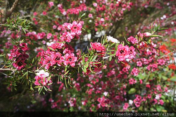 DSC06140.JPG DSC06140.JPG