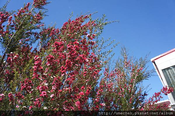 DSC06141.JPG DSC06141.JPG