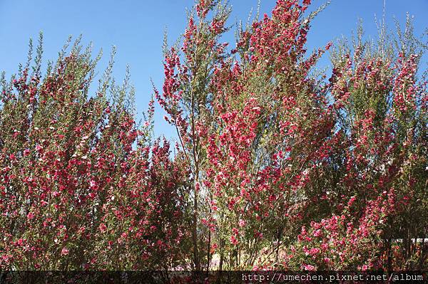 DSC06142.JPG DSC06142.JPG