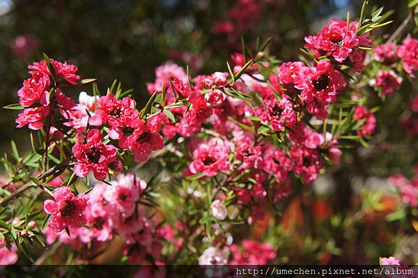 DSC06143.JPG DSC06143.JPG