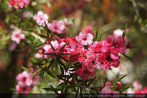 DSC06145.JPG DSC06145.JPG