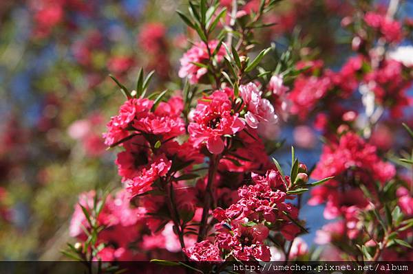 DSC06147.JPG DSC06147.JPG