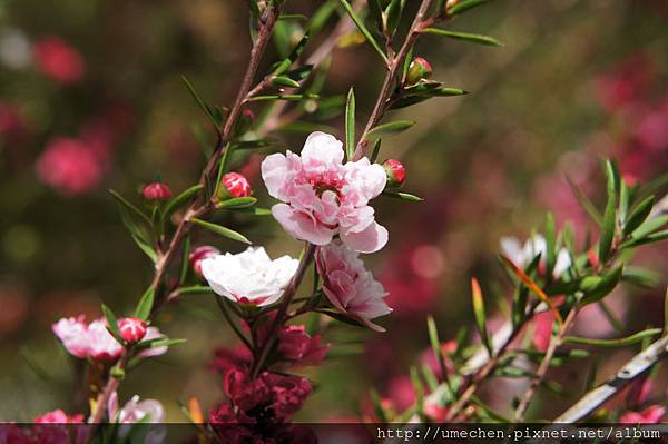 DSC06149.JPG DSC06149.JPG