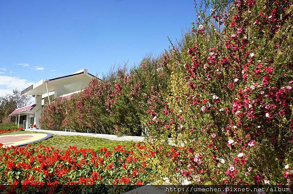 DSC06150.JPG DSC06150.JPG