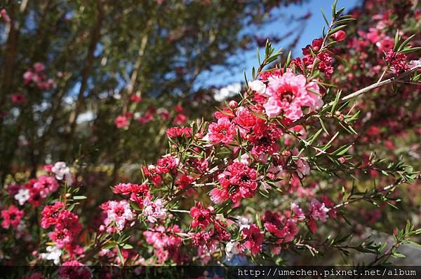 DSC06157.JPG DSC06157.JPG