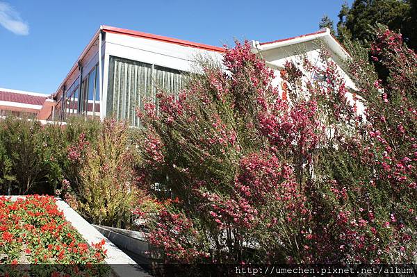 DSC06159.JPG DSC06159.JPG