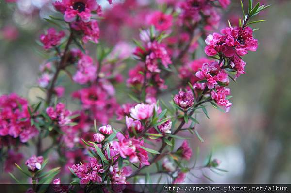 DSC06371.JPG DSC06371.JPG